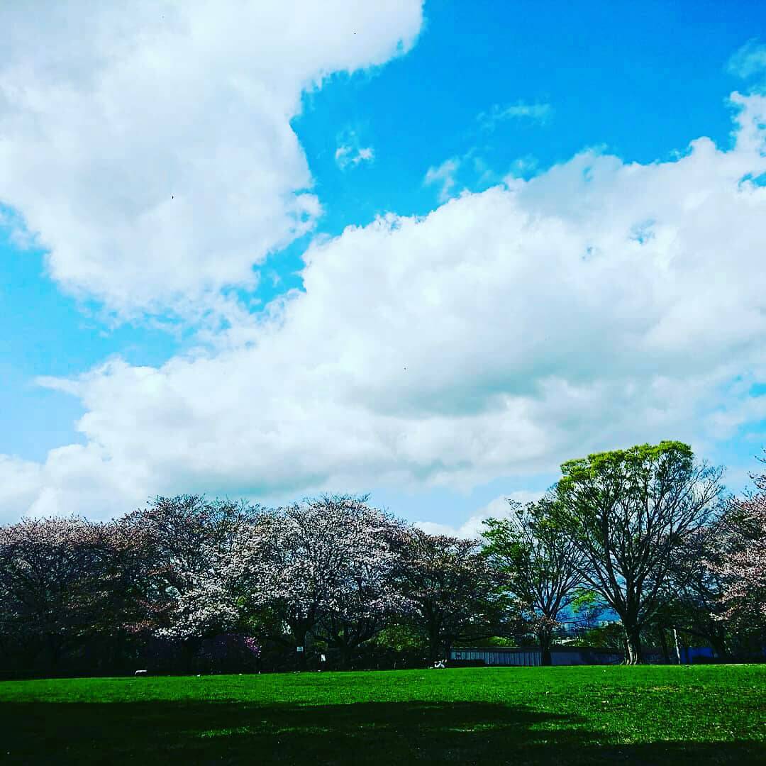 神奈川県大和市のおすすめの場所ってどこですか？